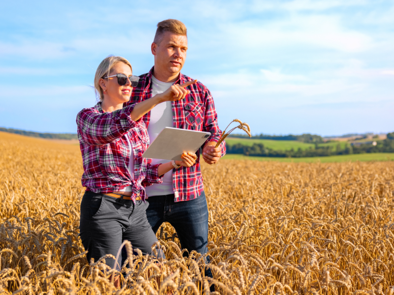 financiamento rural para tecnologia