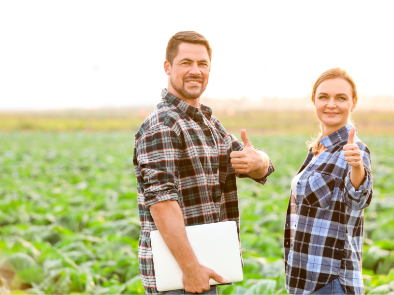 consultoria agropecuária profissional