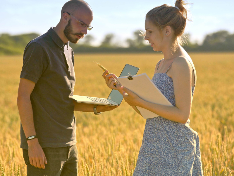 consultoria rural para pecuaristas