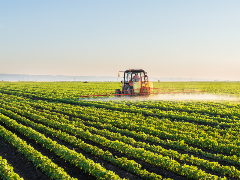 consultoria em agronegócio para melhorar a produtividade