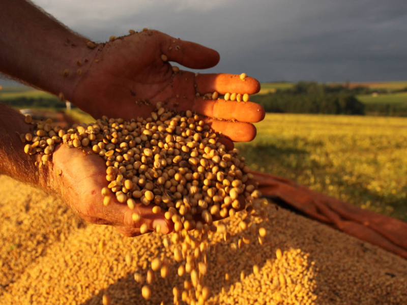 crédito rural pronaf custeio para agricultores