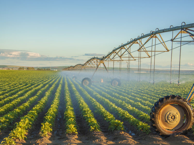 como funciona o crédito rural e onde solicitar