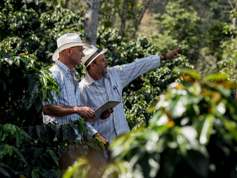 despesas de custeio e investimento na atividade rural como gerir