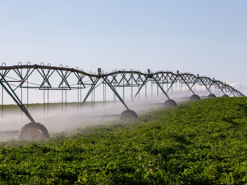 despesas de custeio e investimento na atividade rural como otimizar