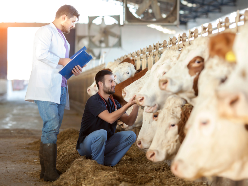 despesas de custeio e investimento na atividade rural otimizando gastos