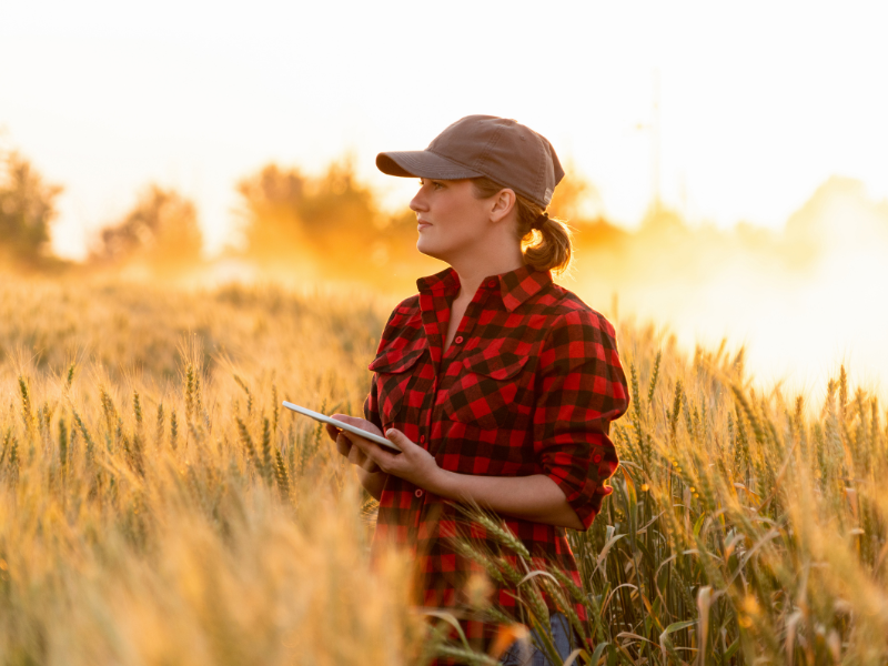 gestor de operações agrícolas quais os desafios enfrentados