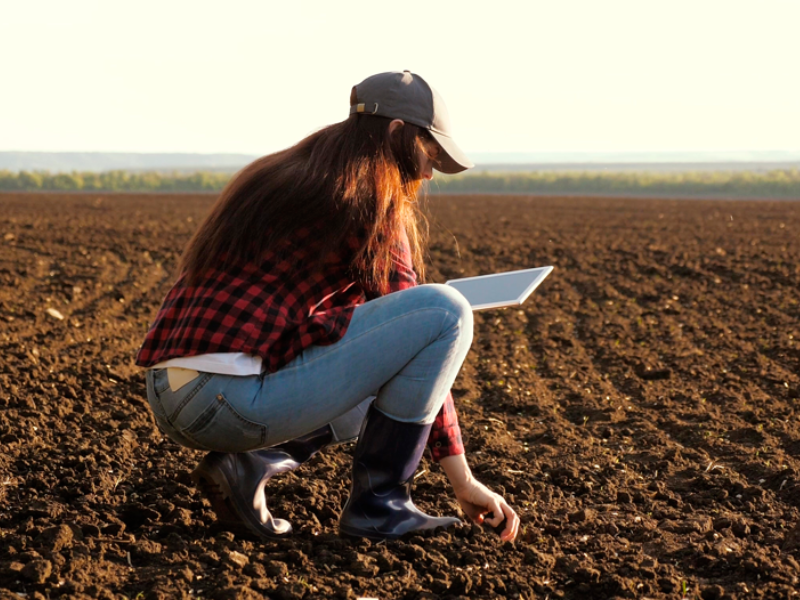 projeto agropecuário por onde começar