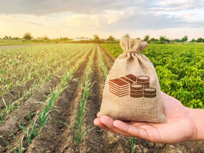 projeto agropecuário qual o melhor financiamento