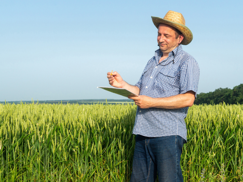 Pronaf agroindústria como participar