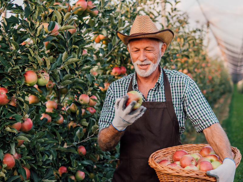 agricultor familiar como conseguir financiamento