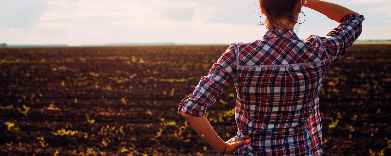 financiamento imóvel rural