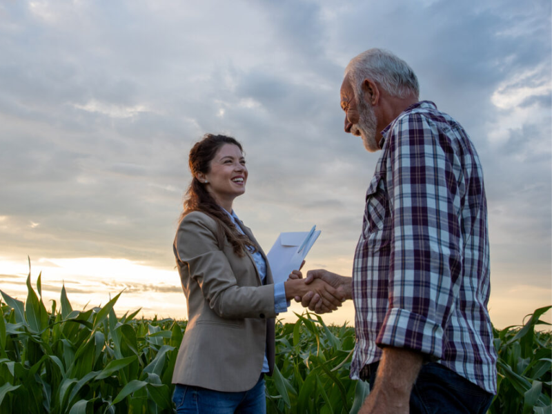 organização e operação da propriedade agrícola de grande porte