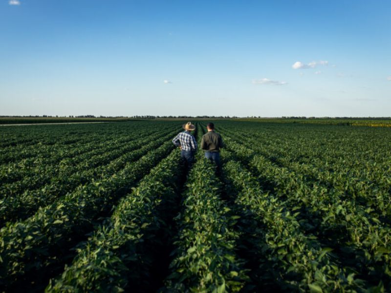 como financiar imóvel rural com condições especiais