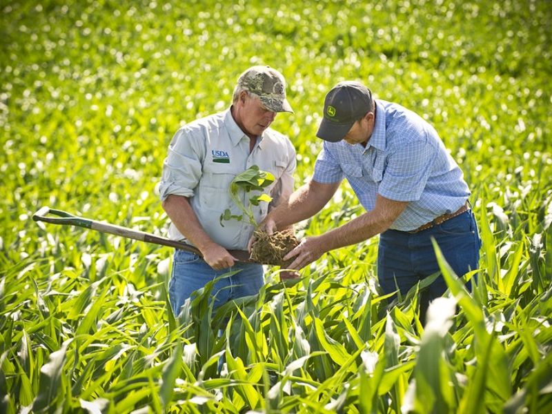 crédito para compra de imóvel rural em Goiás