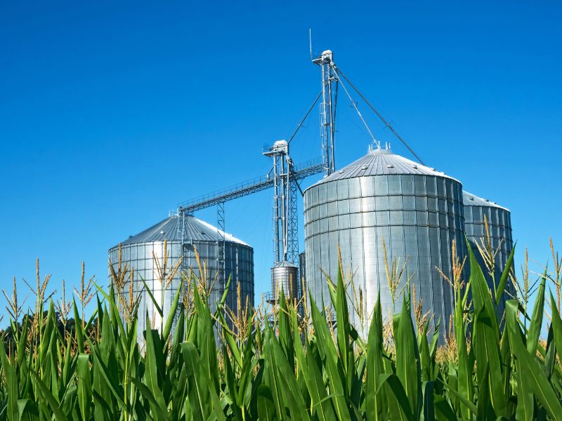 créditos de industrialização rural como conseguir