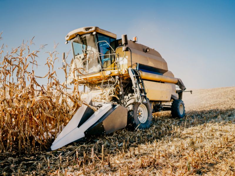 empresa de consultoria agropecuária para agricultores