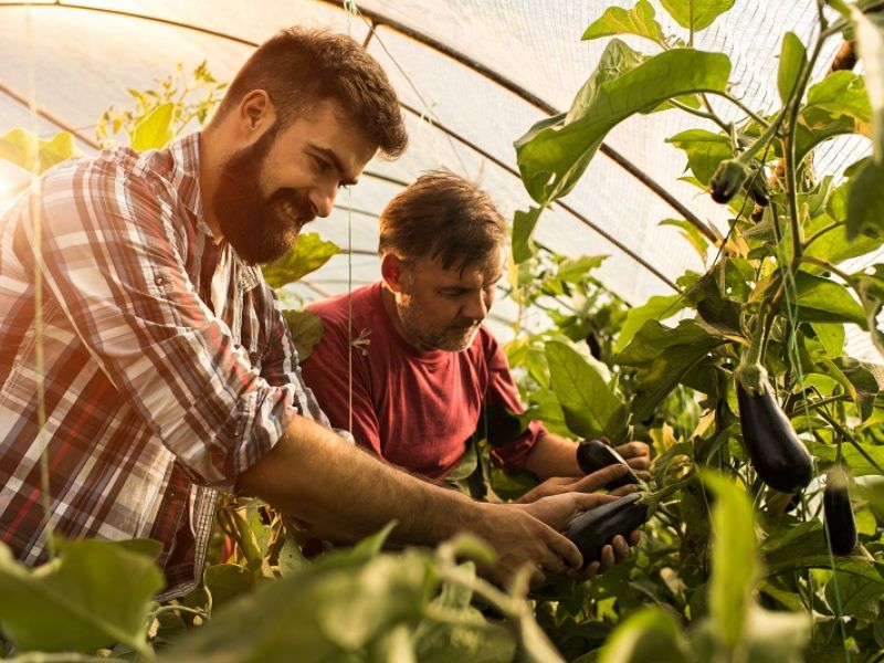 financiamento para construção rural seguro