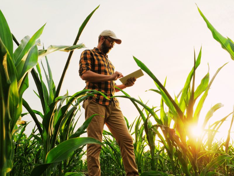 o que faz um consultor agrícola