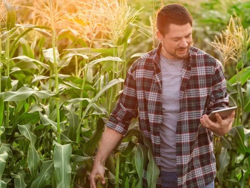 o que faz um consultor agrícola no campo