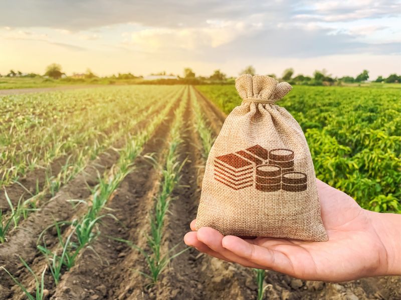 o que faz um consultor agrícola para os produtores