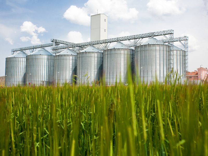 armazenamento de produtos agrícolas em sacos