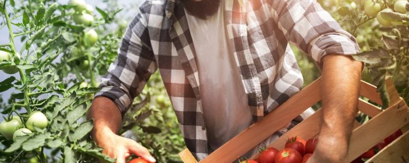 comercialização de produtos agrícolas