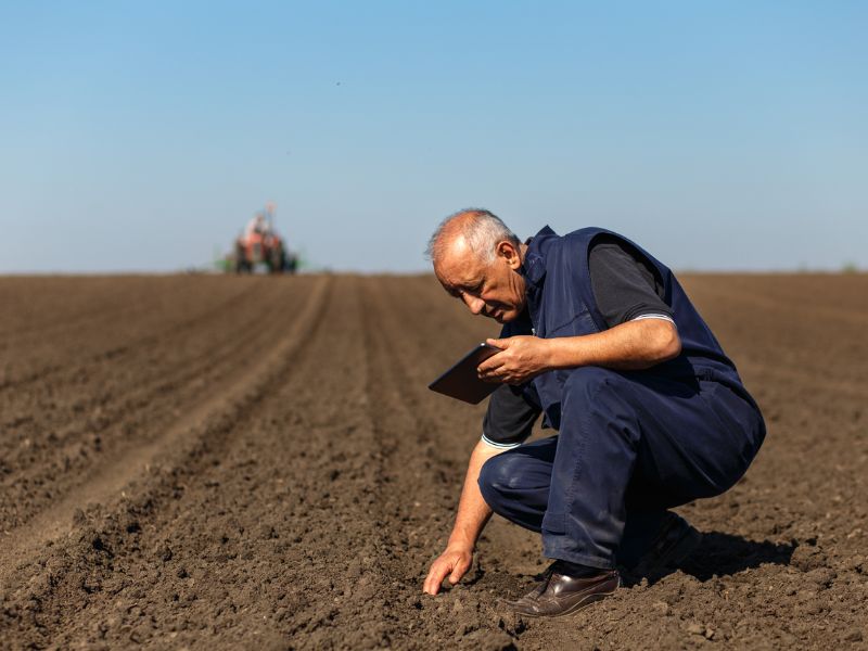 laudo de perdas agrícolas o que é