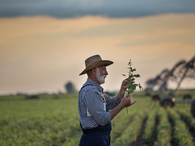 laudo de perdas agrícolas quem pode fazer