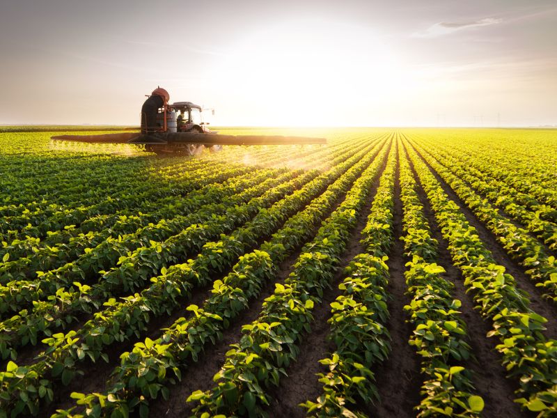 mercado agrícola como analisar