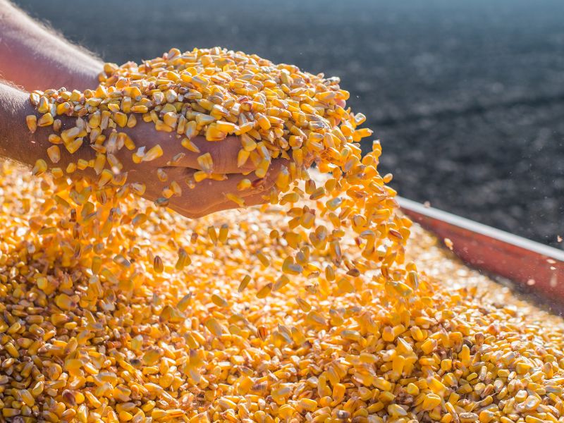 mercado agrícola quais os desafios