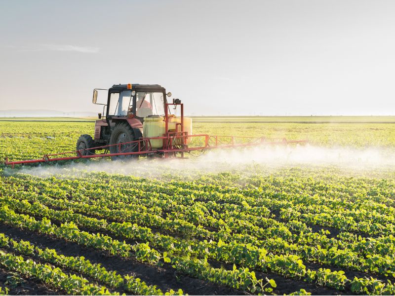 avaliação de imóveis rurais com plantação 