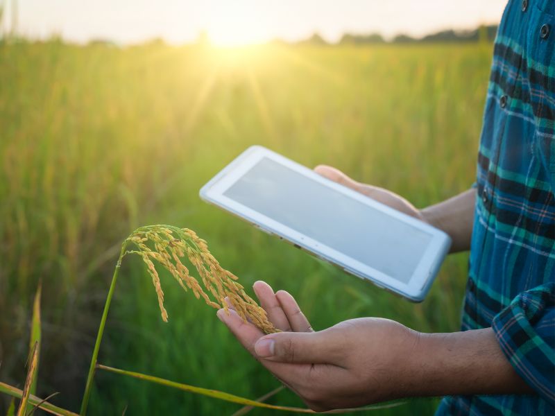 quem pode assinar projeto de crédito rural