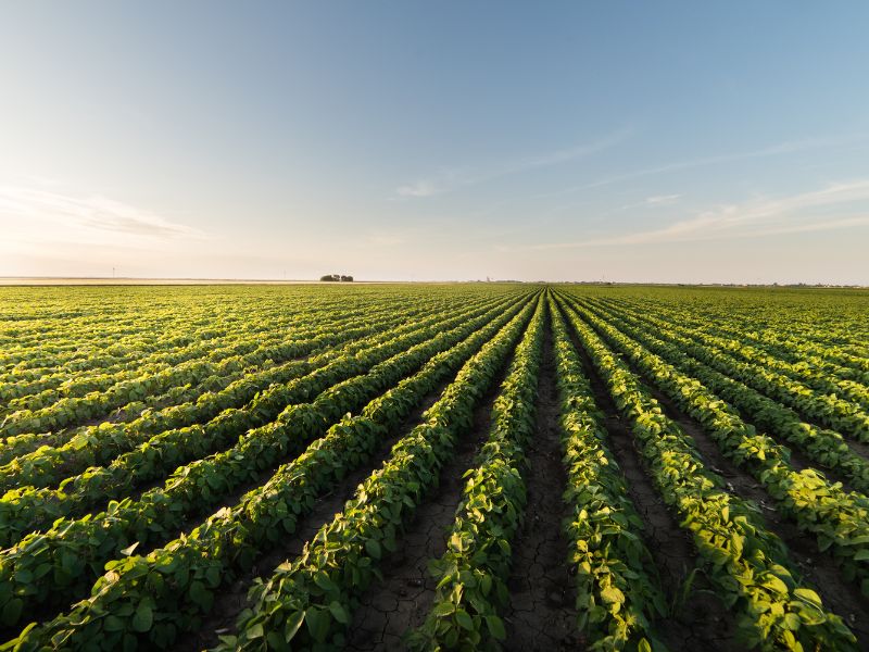 laudo de avaliação de imóvel rural o que é