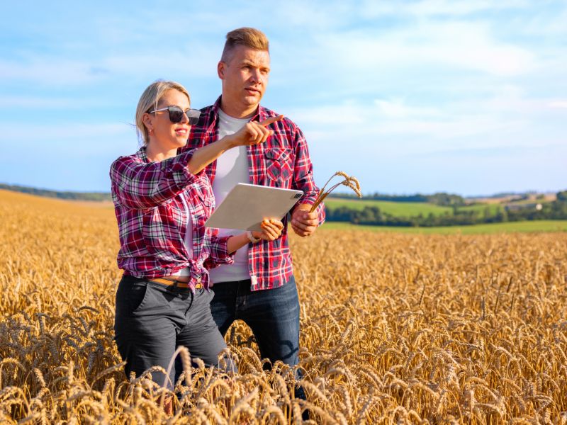 administração e economia rural e como fazer