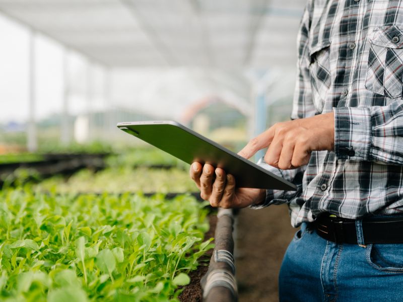 administração e economia rural quais os benefícios