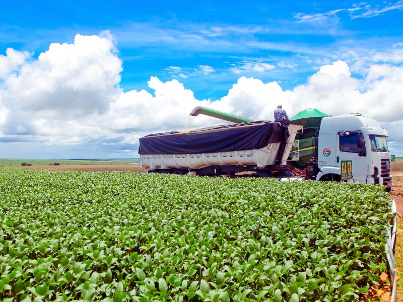 administração e economia rural