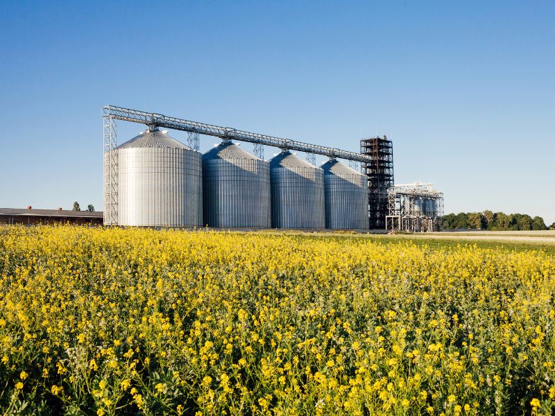 silo vertical para grãos como adquirir