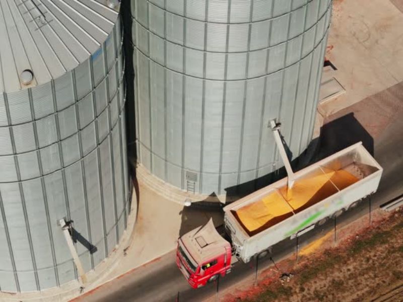 silo vertical para grãos como fazer a aquisição