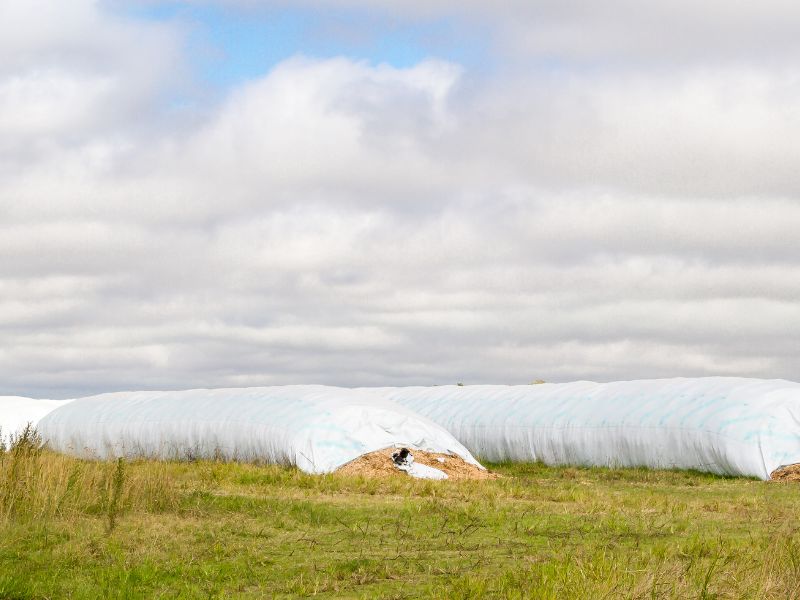 silo bolsa para armazenagem