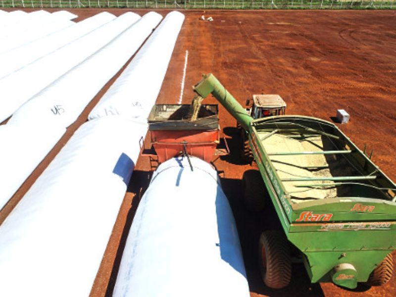 silo bolsa para milho​ onde encontrar