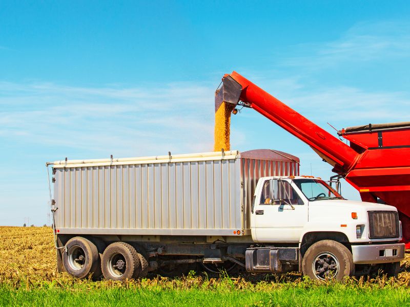 silo bolsa para milho​ para comprar