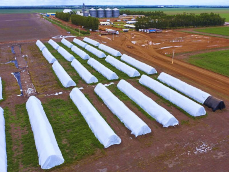 silo bolsa para silagem​ de milho