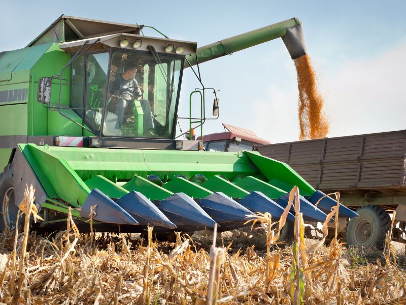 gestão de agro negócio na produção do milho safrinha